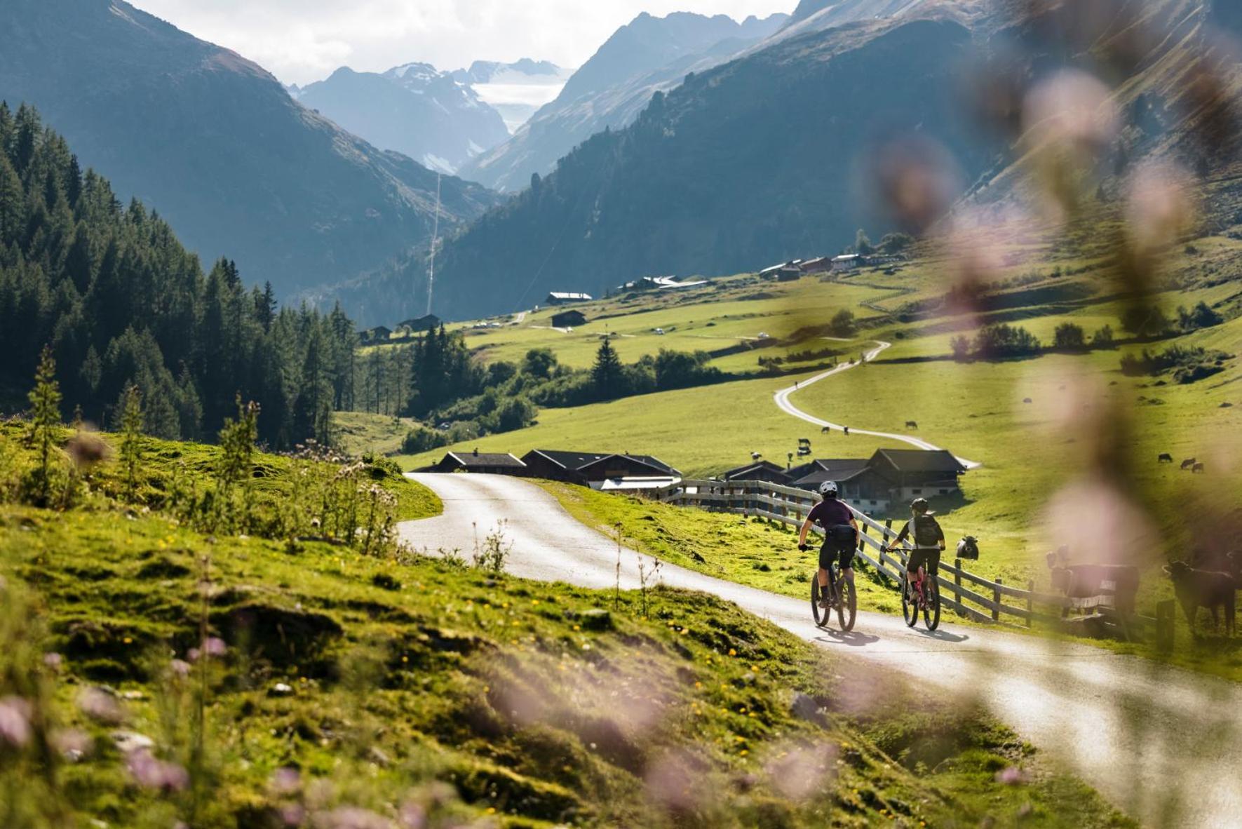 Stoanmandl Wohlfuehlappartements Neustift im Stubaital Eksteriør bilde