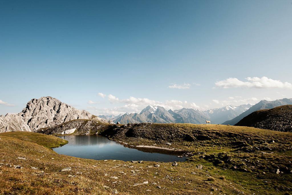 Stoanmandl Wohlfuehlappartements Neustift im Stubaital Eksteriør bilde